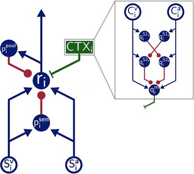 From Near-Optimal Bayesian Integration to Neuromorphic Hardware: A Neural Network Model of Multisensory Integration